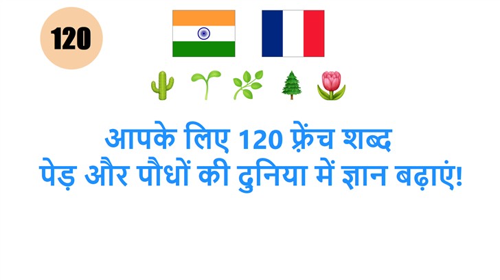 आपके लिए 120 फ़्रेंच शब्द: पेड़ और पौधों की दुनिया में ज्ञान बढ़ाएं!